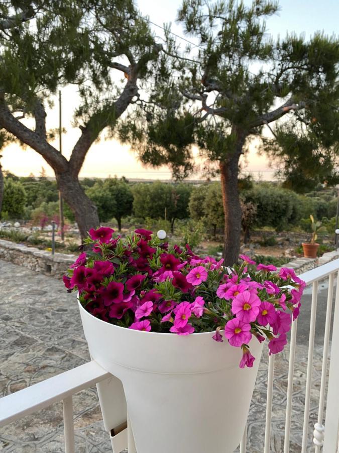 Monte Simeone Bed & Breakfast โปลีญาโนอามาเร ภายนอก รูปภาพ